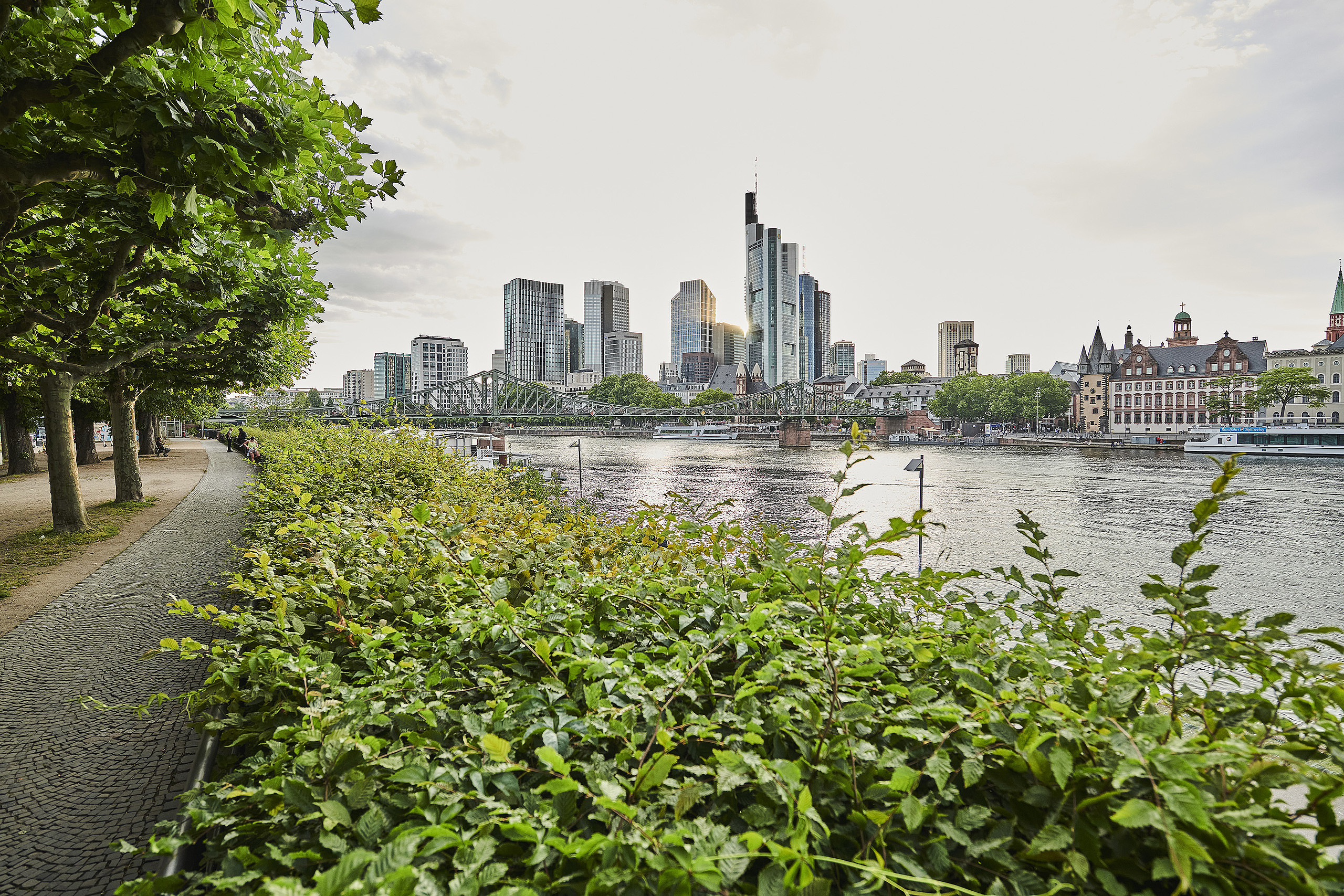Blick vom Mainufer auf Frankfurt