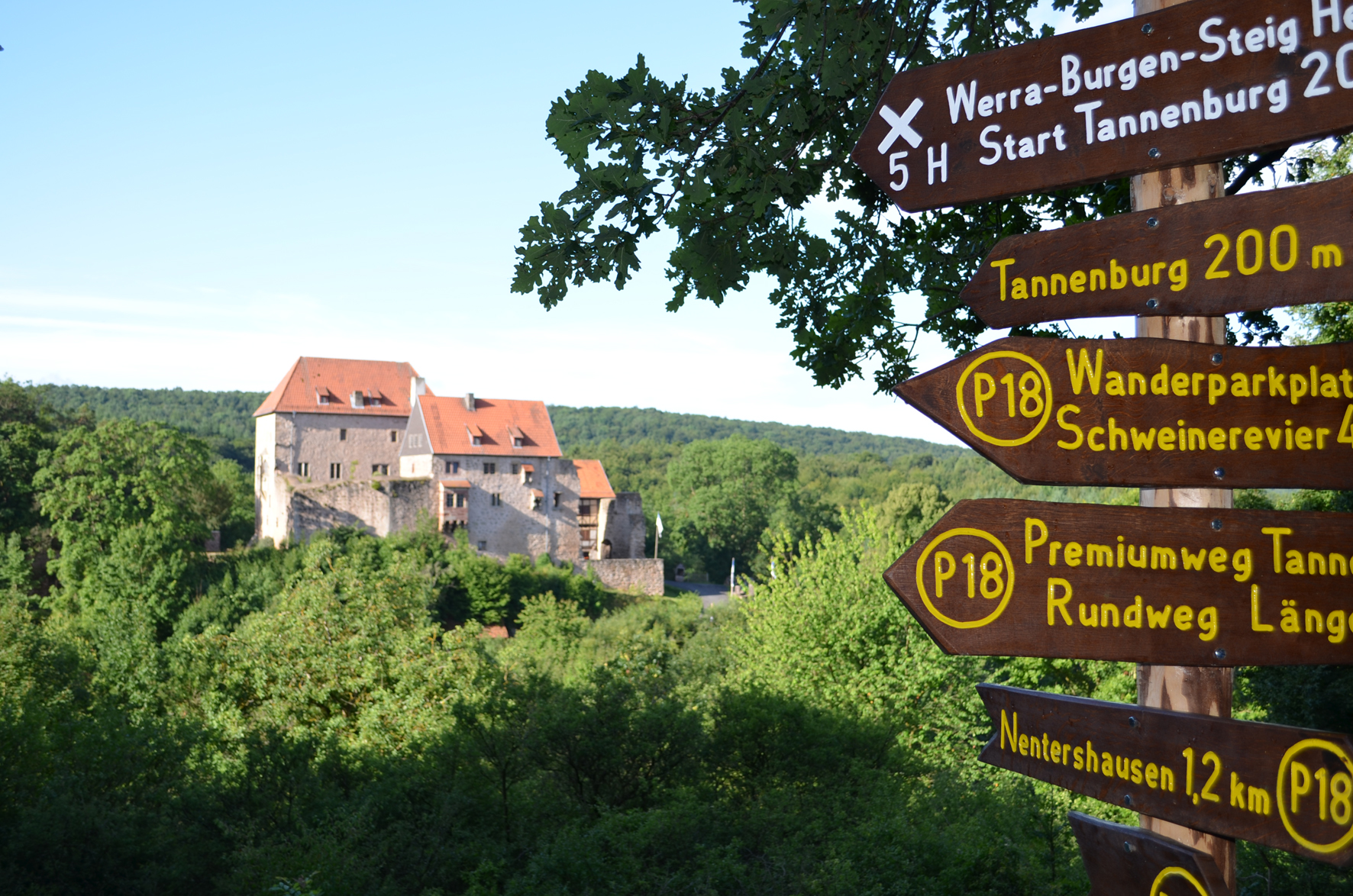 View of a castle in a forest with lots of signposts pointing in all directions in the foreground