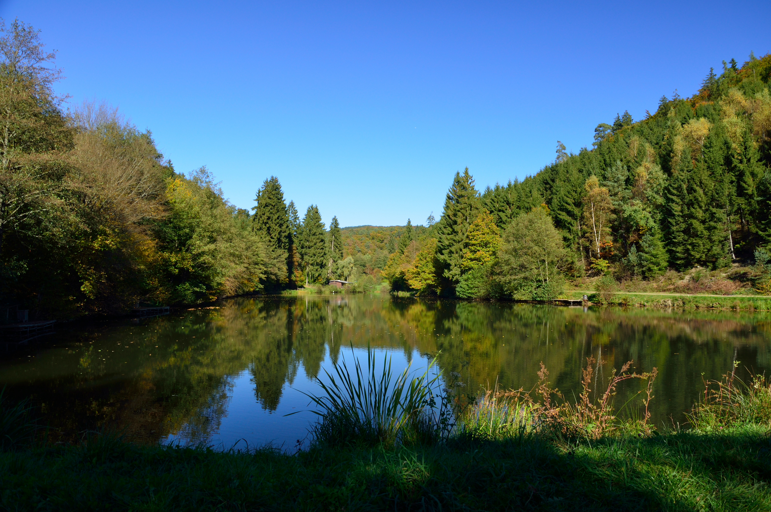 Der Wispersee im Naturpark Rhein-Taunus