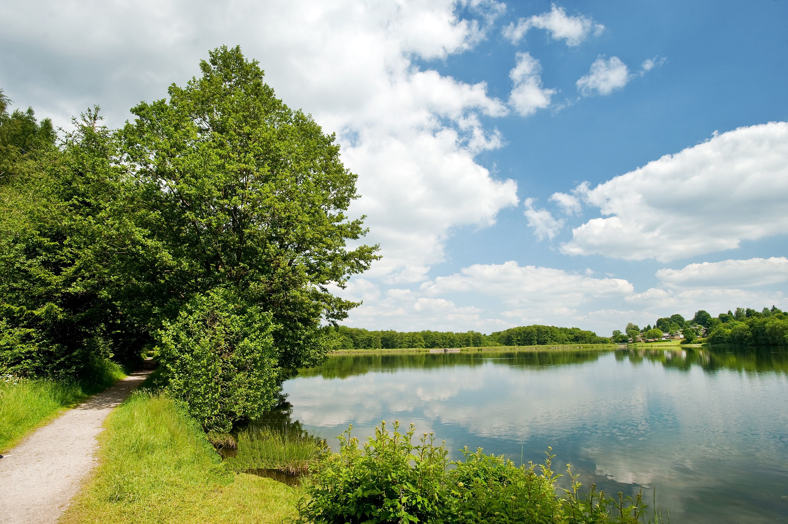 [Translate to English:] View of a lake and trees in the Westerwald
