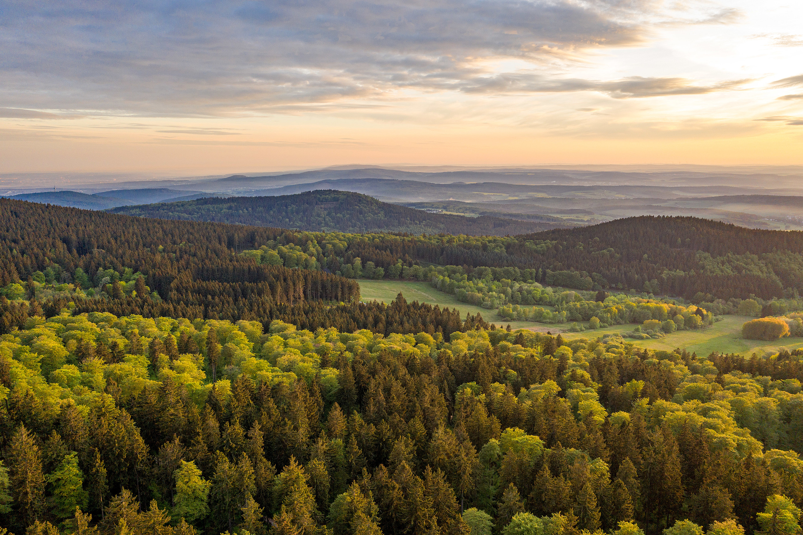 [Translate to English:] Views of the wooded Taunus low mountains in golden sunlight