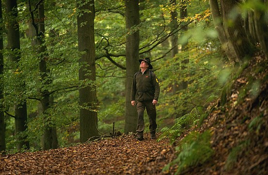 A park ranger standing in the forest looking up