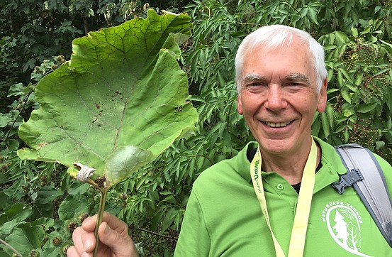 Wolfgang Baumann holding a large leaf