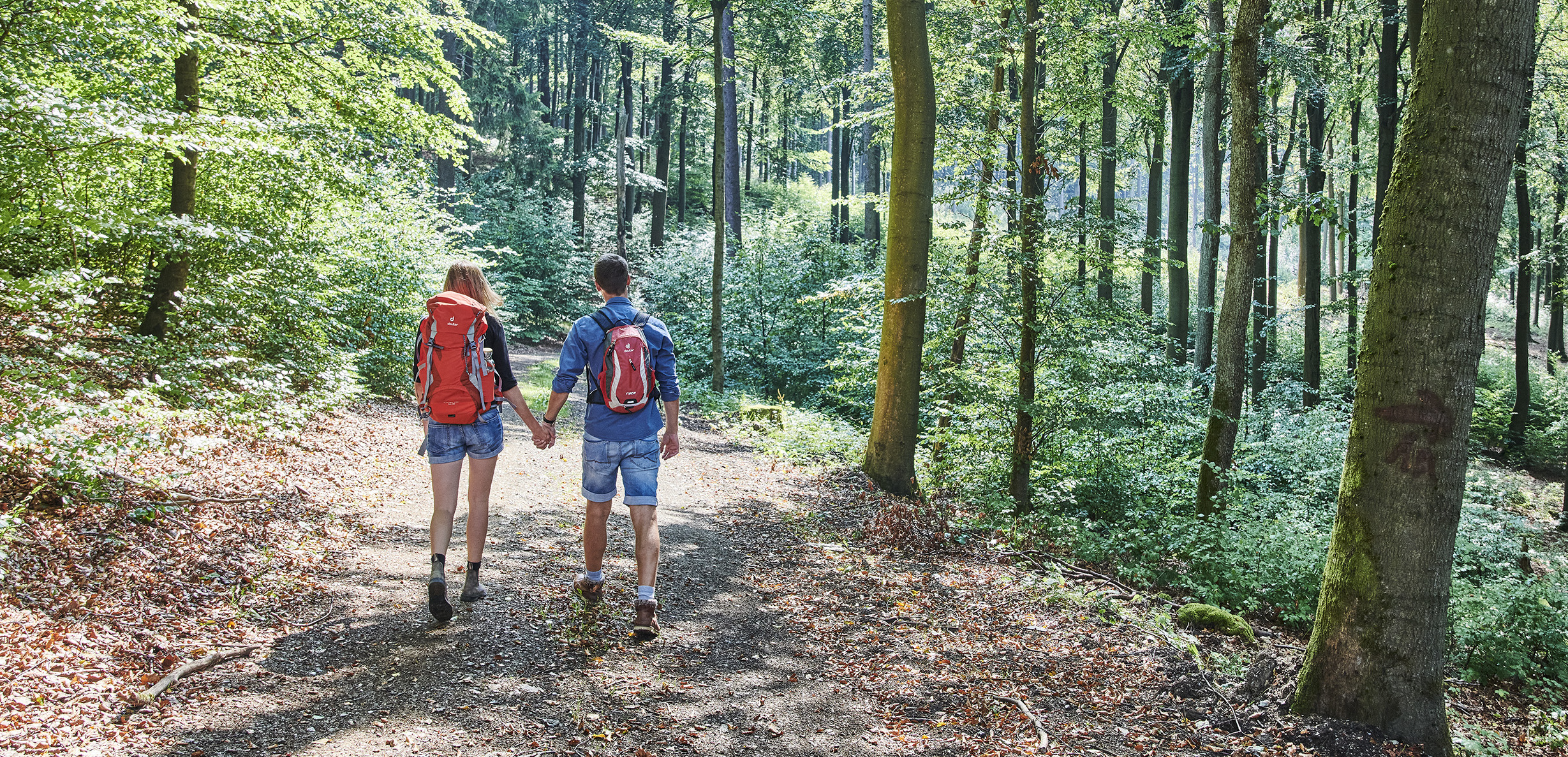 Two people from behind on a forest path