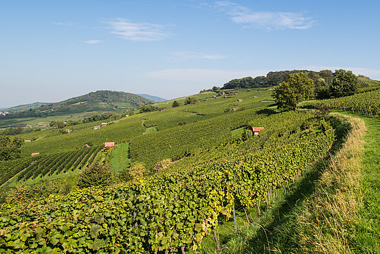 Weinregion Bergstraße
