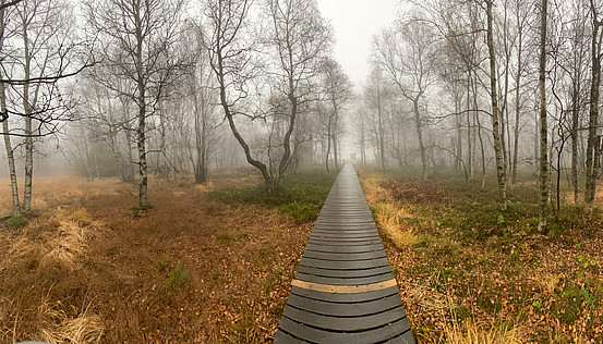 Das Rote Moor in Gersfeld liegt in Hessens einzigem UNESCO Biosphärenreservat