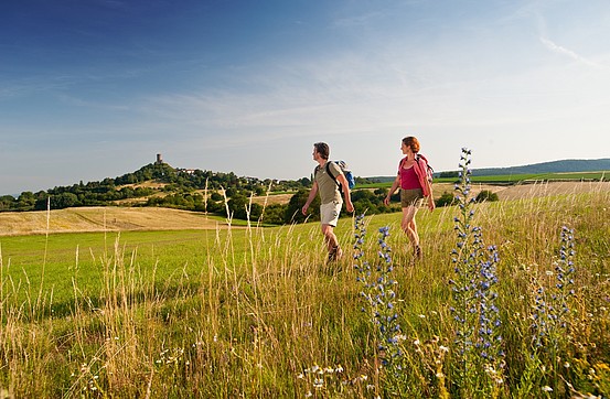 Two white people in shorts and t-shirts hiking through a meadow on a sunny day