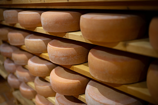 In der hessischen Käsescheune kann man dem Käse wortwörtlich beim Reifen zusehen