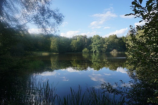 Mehrbacher Teich
