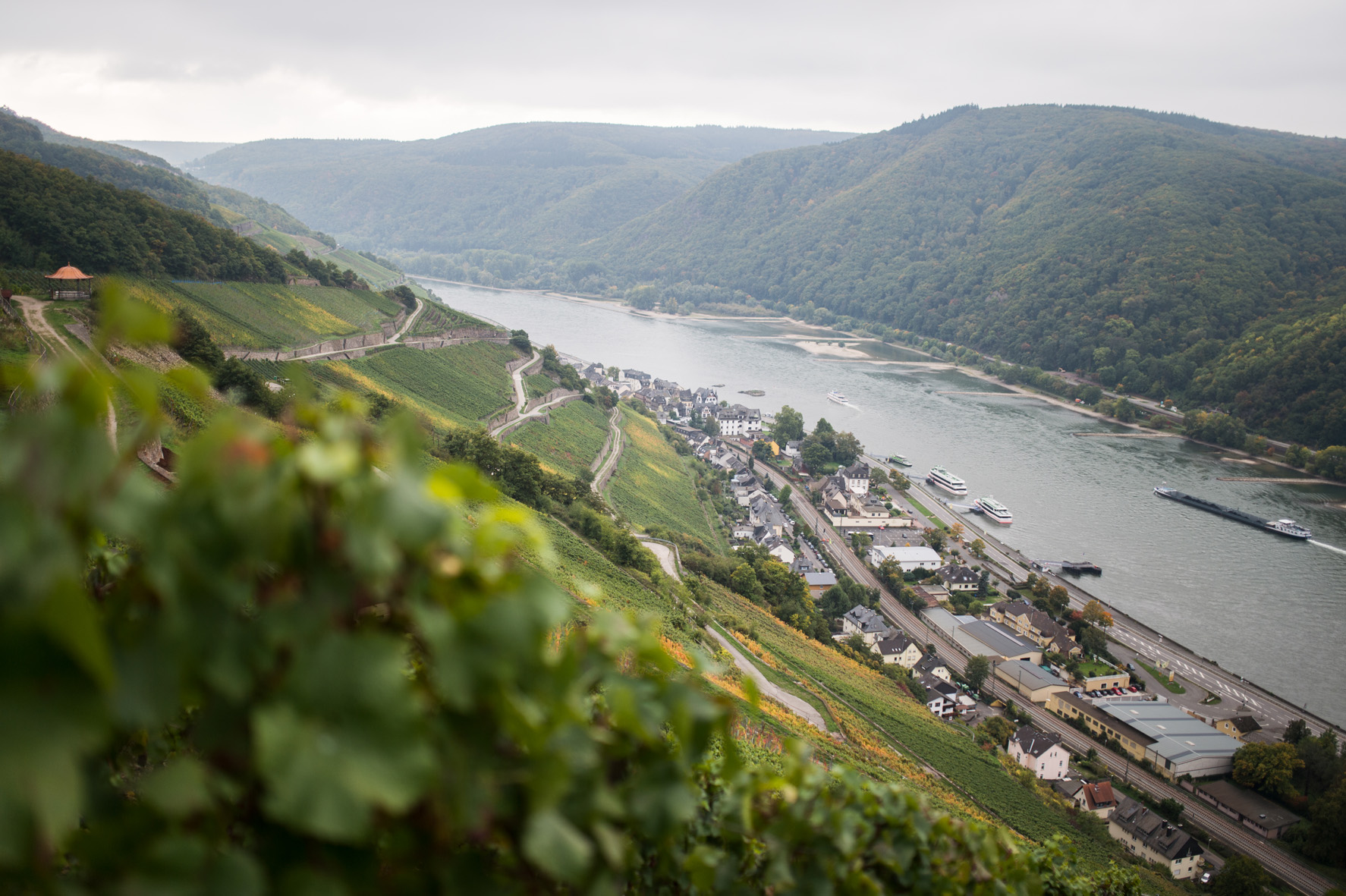 View of the Rhine river and sloping vineyards from the Rheinsteig Hiking Trail