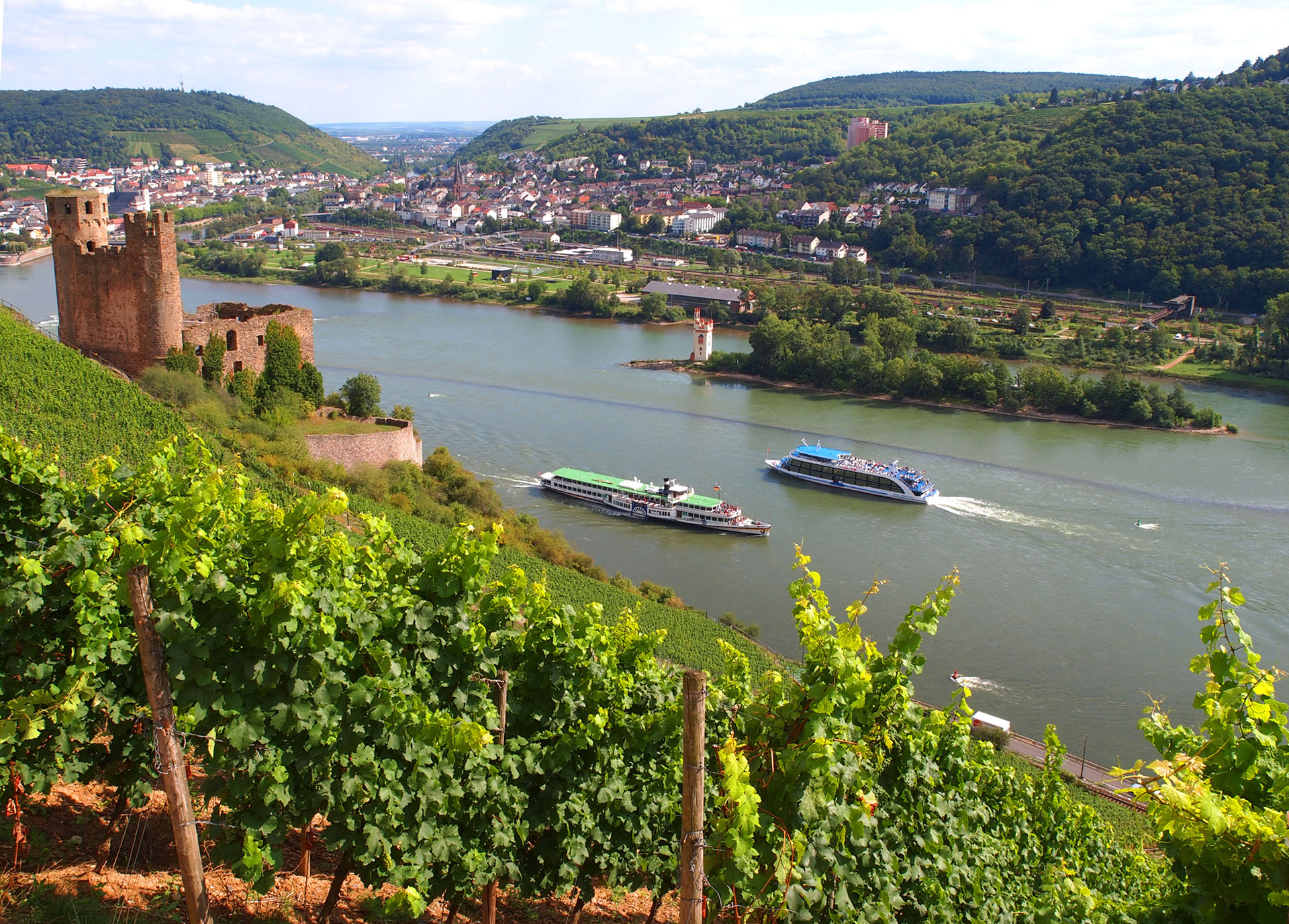 Blick auf die Burgruine Ehrenfels und Rüdesheim über den Rhein