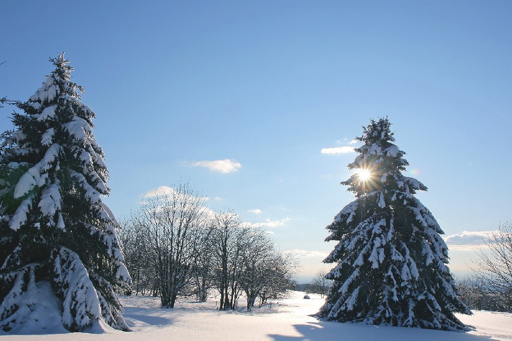 Verschneite Winterlandschaft im Vogelsberg